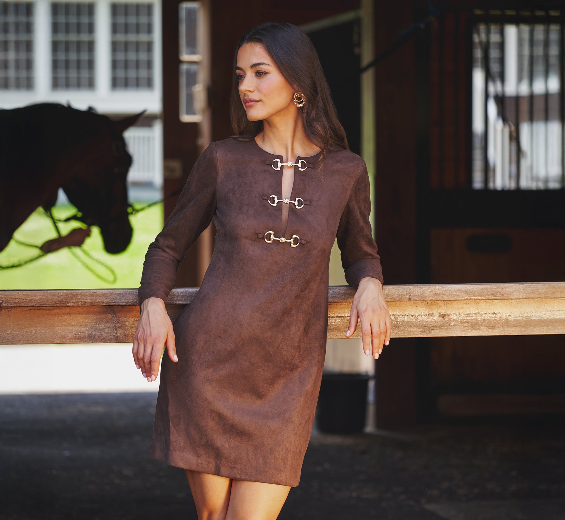 Adrianna Papell Long Sleeve Microsuede Shift Mini Dress - Dark Brown Adrianna Papell Long Sleeve Microsuede Shift Mini Dress - Dark Brown