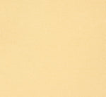 Puff Sleeve Beaded Peter Pan Collar Top In Pastel Yellow 7