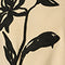 Cream Black