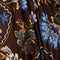 Brown Multi