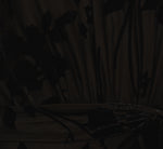 Sleeveless Floral Burnout Velvet Jumpsuit In Black 7