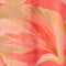 Coral Multi