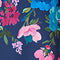 Navy Multi