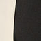 Black Ivory