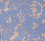 Cap Sleeve Lace Midi Dress In French Blue Nude 6