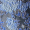 Navy Blue Multi