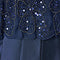 Light Navy