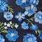 Blue Multi
