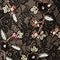 Black Blush Multi