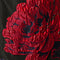 Black Red Multi