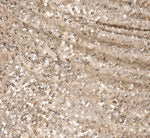 Stretch Sequin Sleeveless Cowl Neck Gown With Gathered Details In Champagne Silver 6