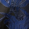 Navy Black