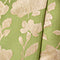Fern