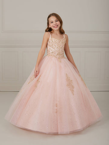 Metallic Lace and Tulle Scoop Neck A-Line Gown 1